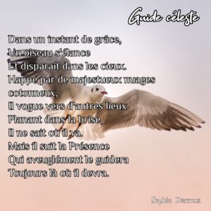 Texte intuitif illustré Inspirations lumineuses - Créacadabra